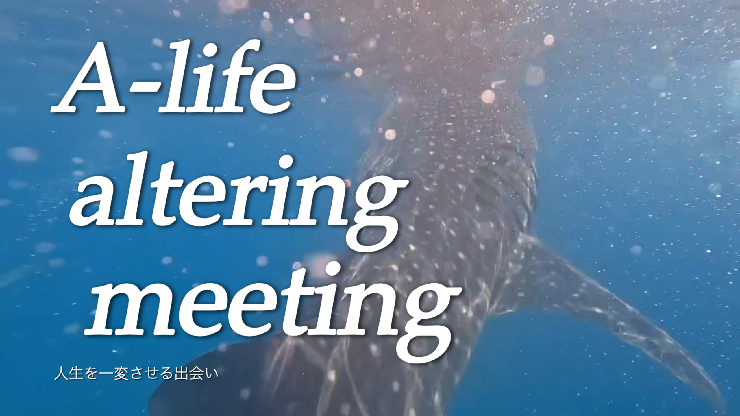 A life-altering meetingのサムネイル