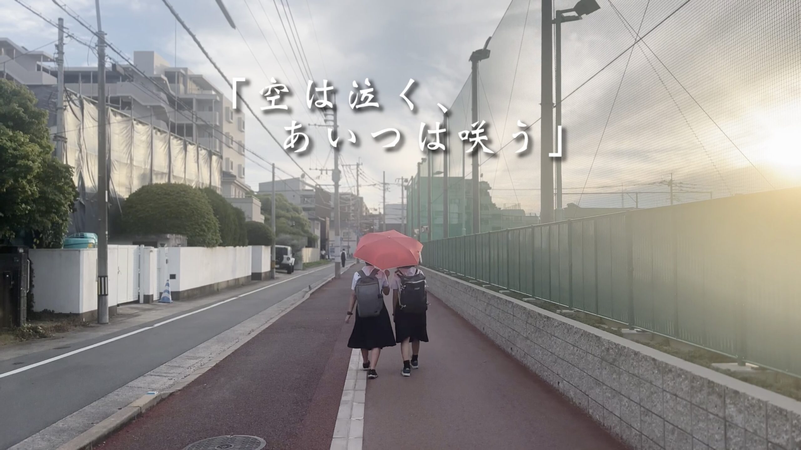 空は泣く、あいつは咲うのサムネイル