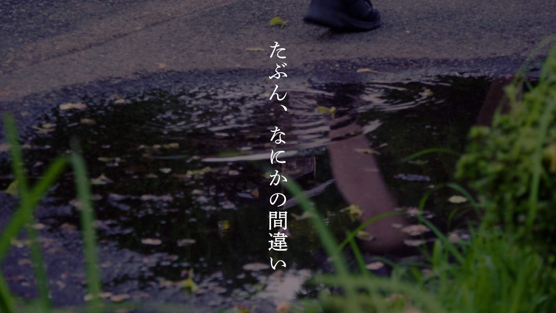 たぶん、なにかの間違いのサムネイル