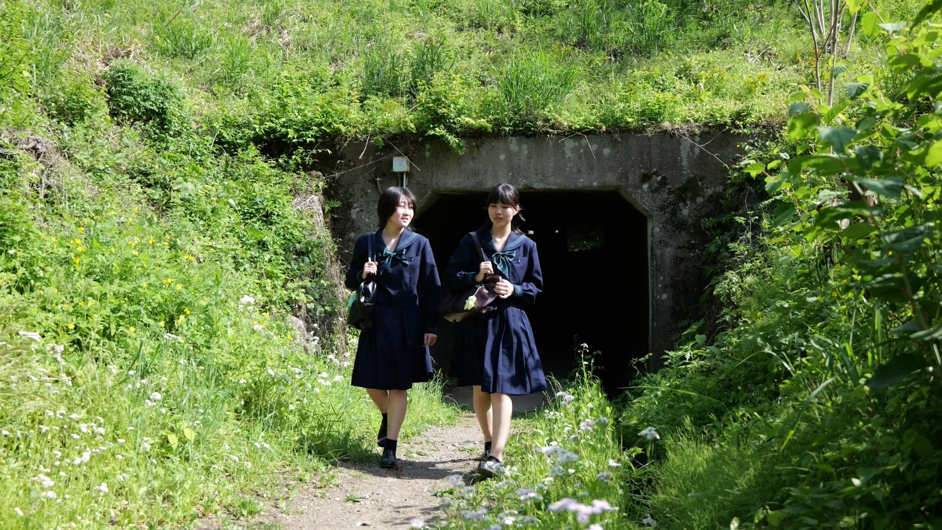 Dear...のサムネイル