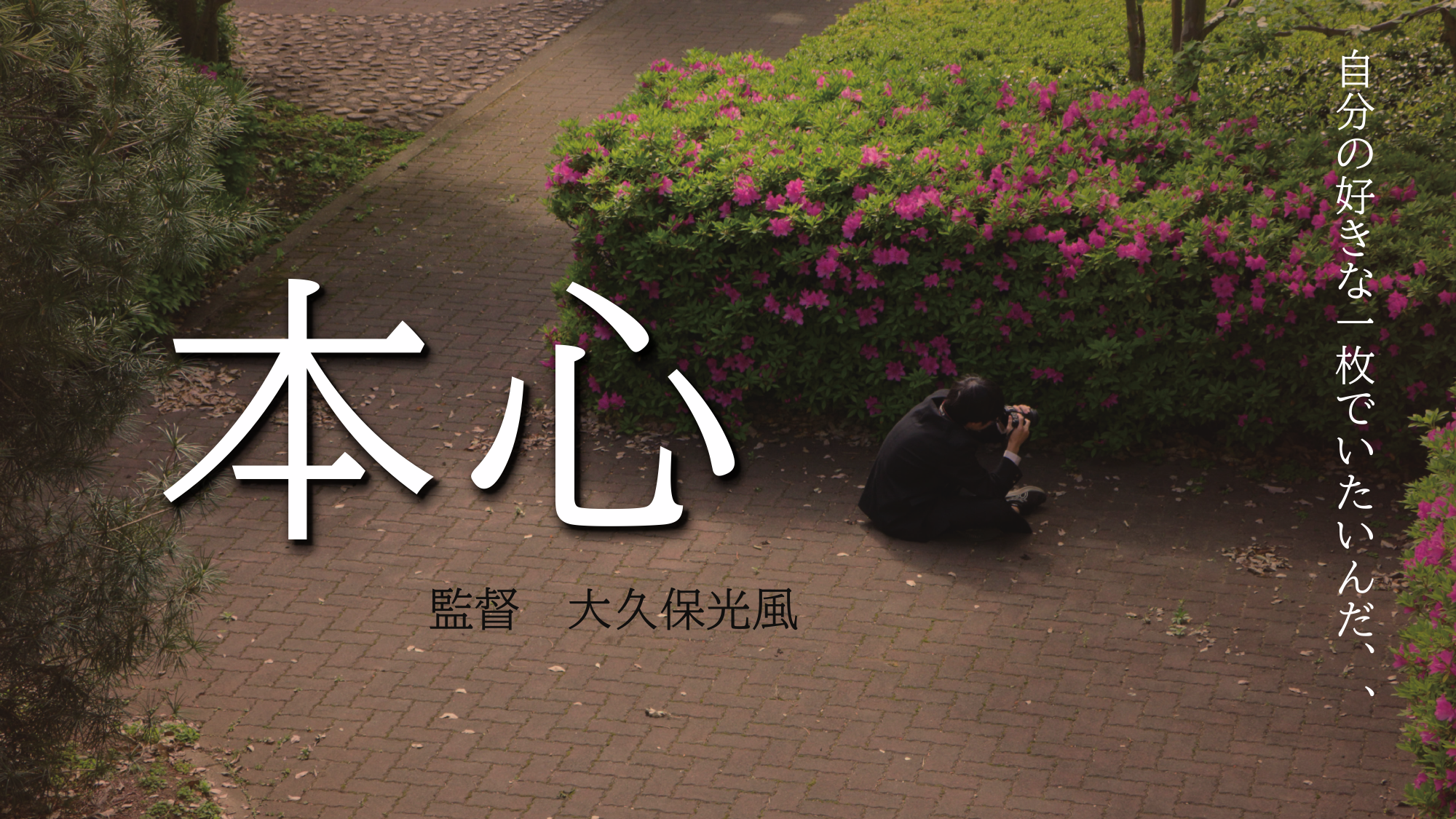 本心のサムネイル